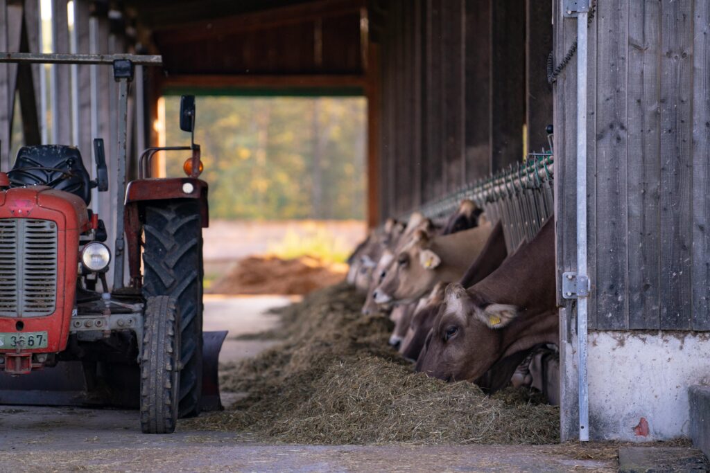 big bags in agriculture